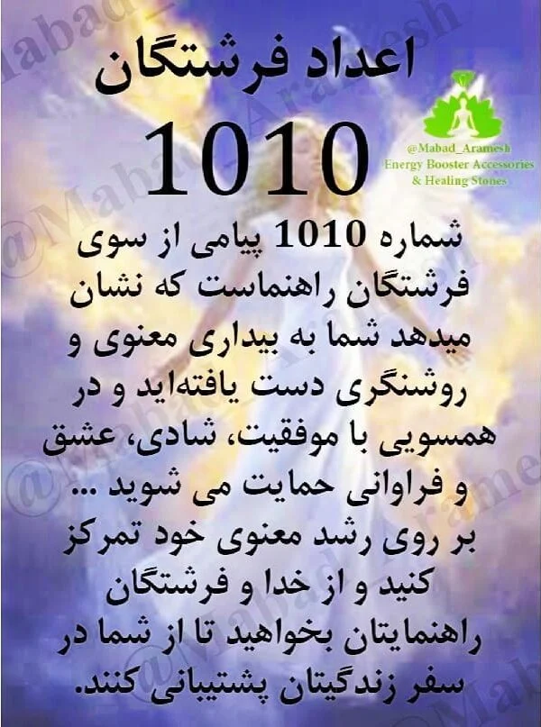 عدد 1010