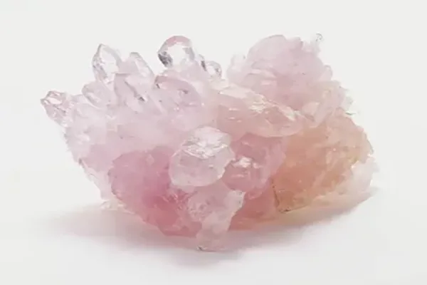 رز کوارتز