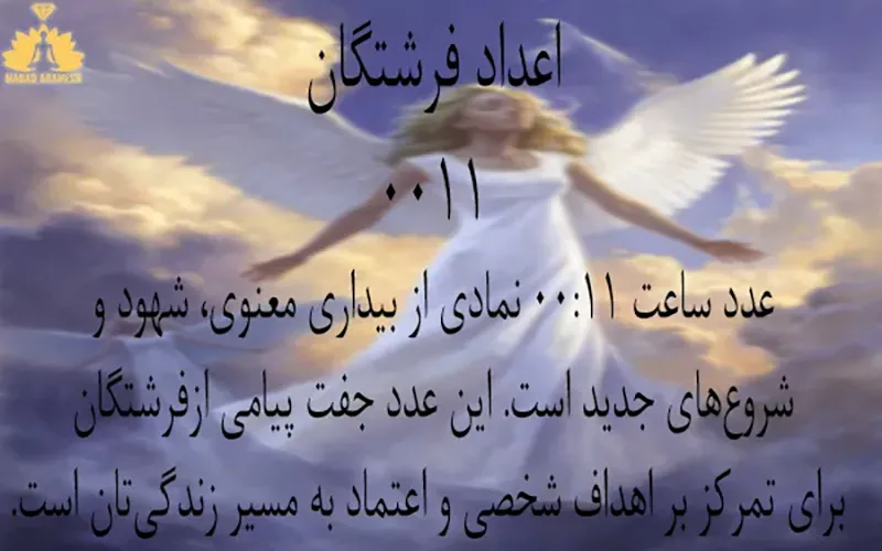 معنی عدد 0011