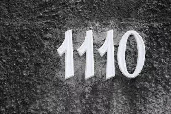 معنی عدد 1110 2