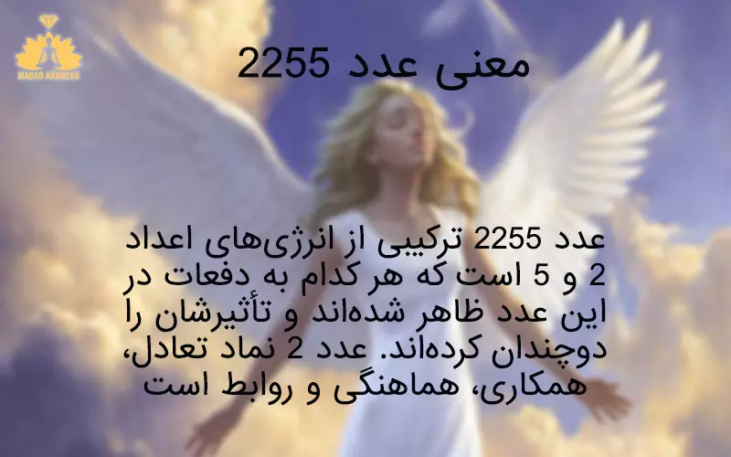 معنی عدد ۲۲۵۵ و ارتباط با عشق