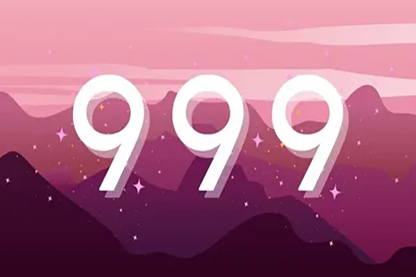 معنی عدد 999