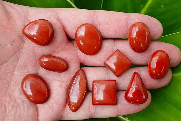 نکات خرید و نگهداری جاسپر